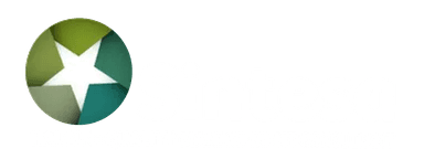 Sintesa Consultant